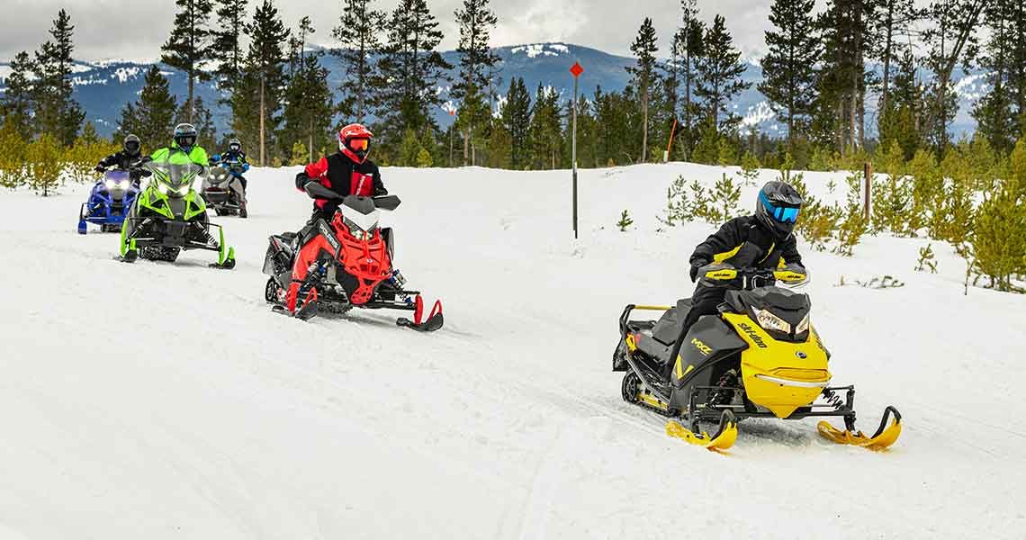 Snowmobile Sales Data for Winter of 2021-2022